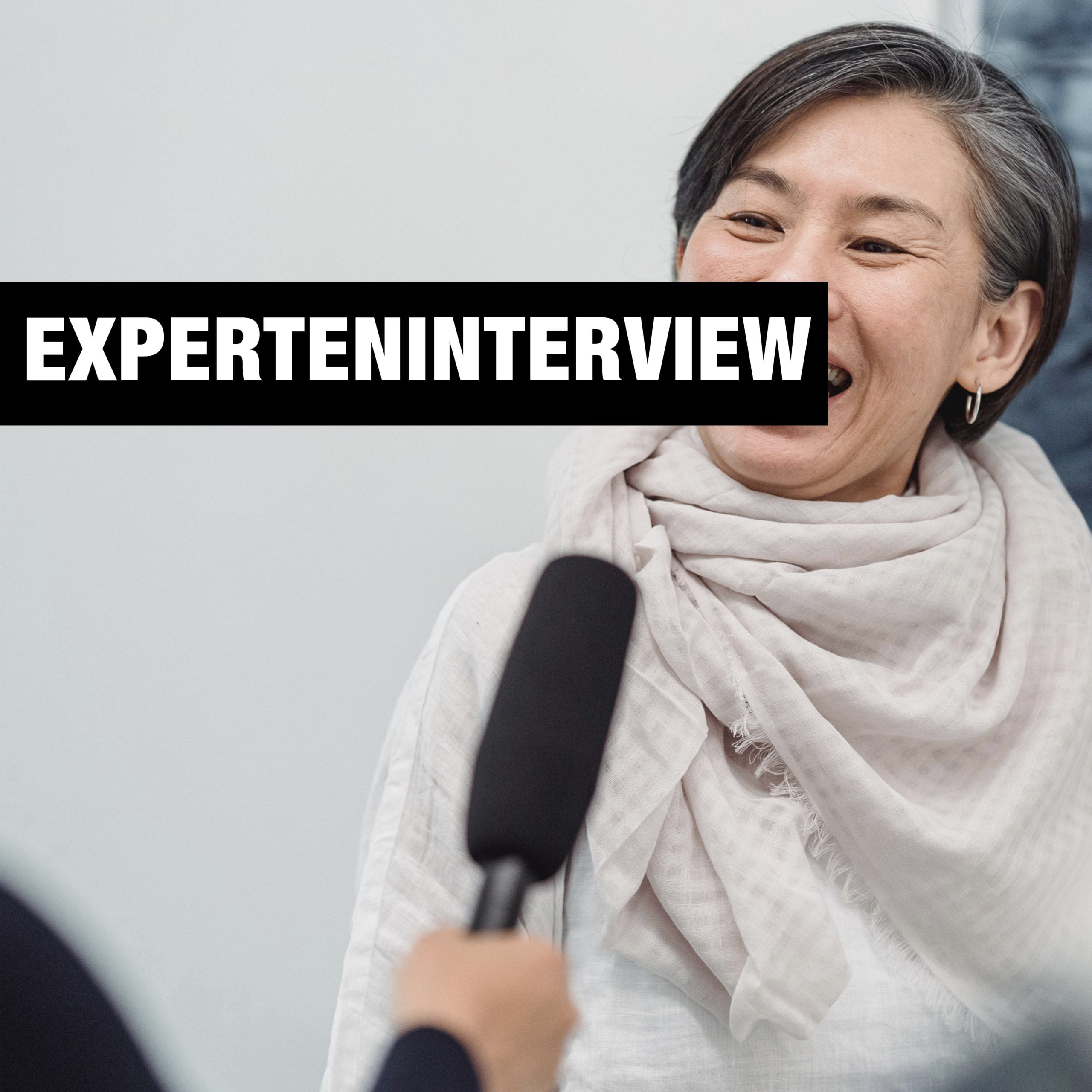Experteninterview Agentur