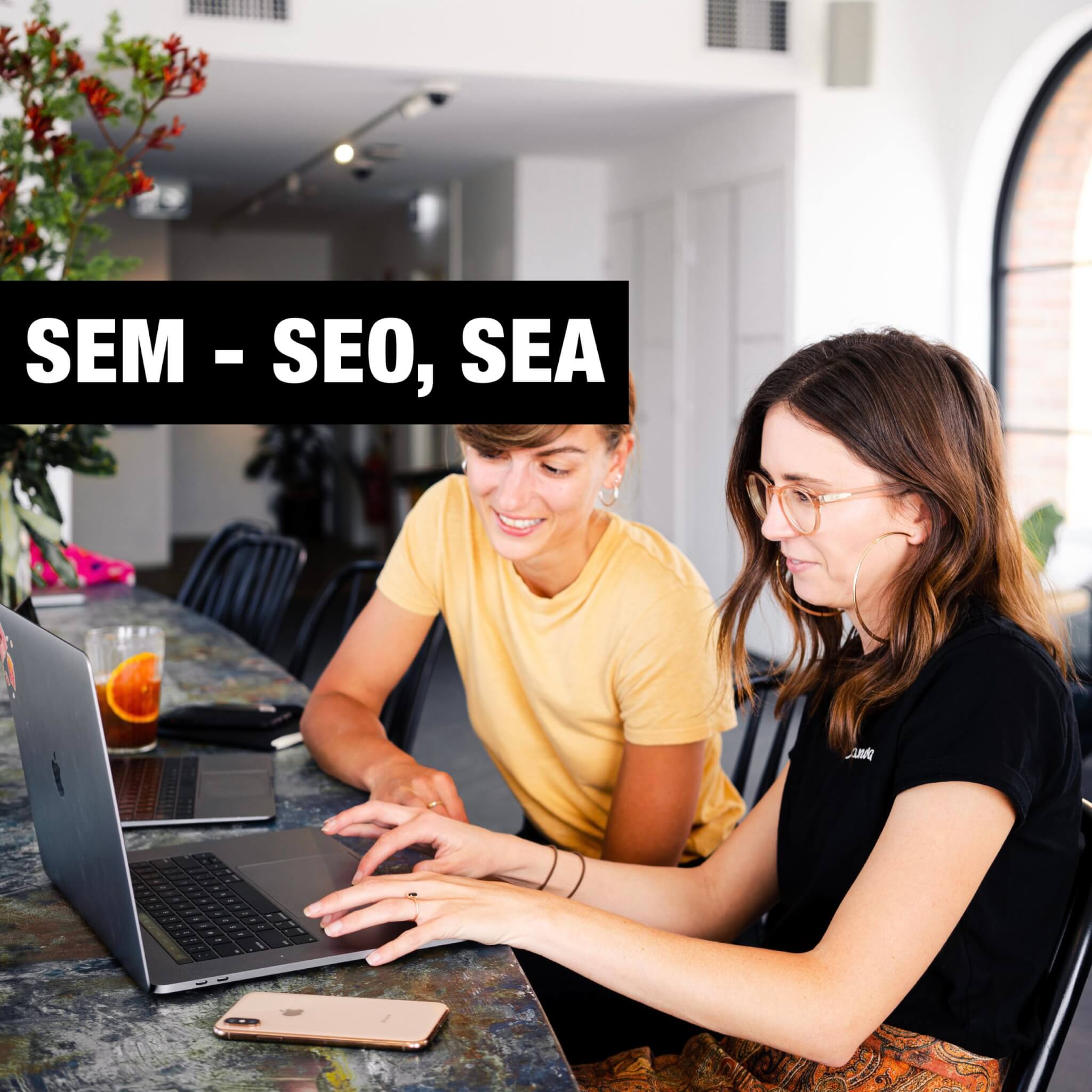 SEM SEO SEA